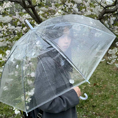 Clear Dome See Through Umbrella Transparent Rain Windproof
